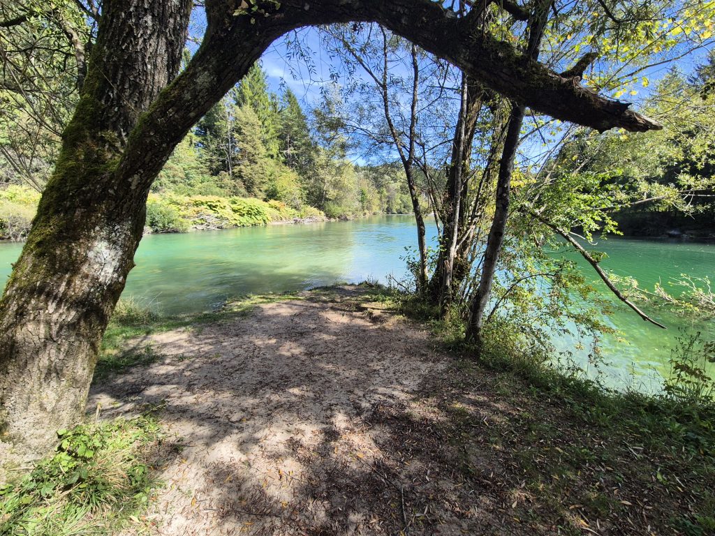 Sotočje Save med Savo Dolinko in Savo Bohinjko